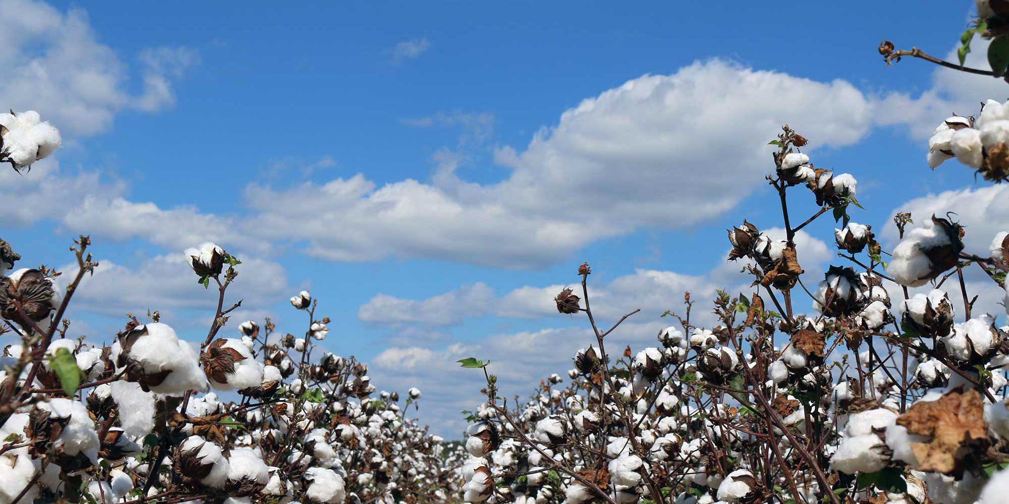 Autauga Farming Company