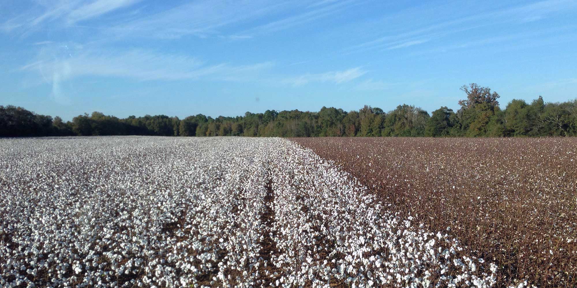 Autauga Farming Company