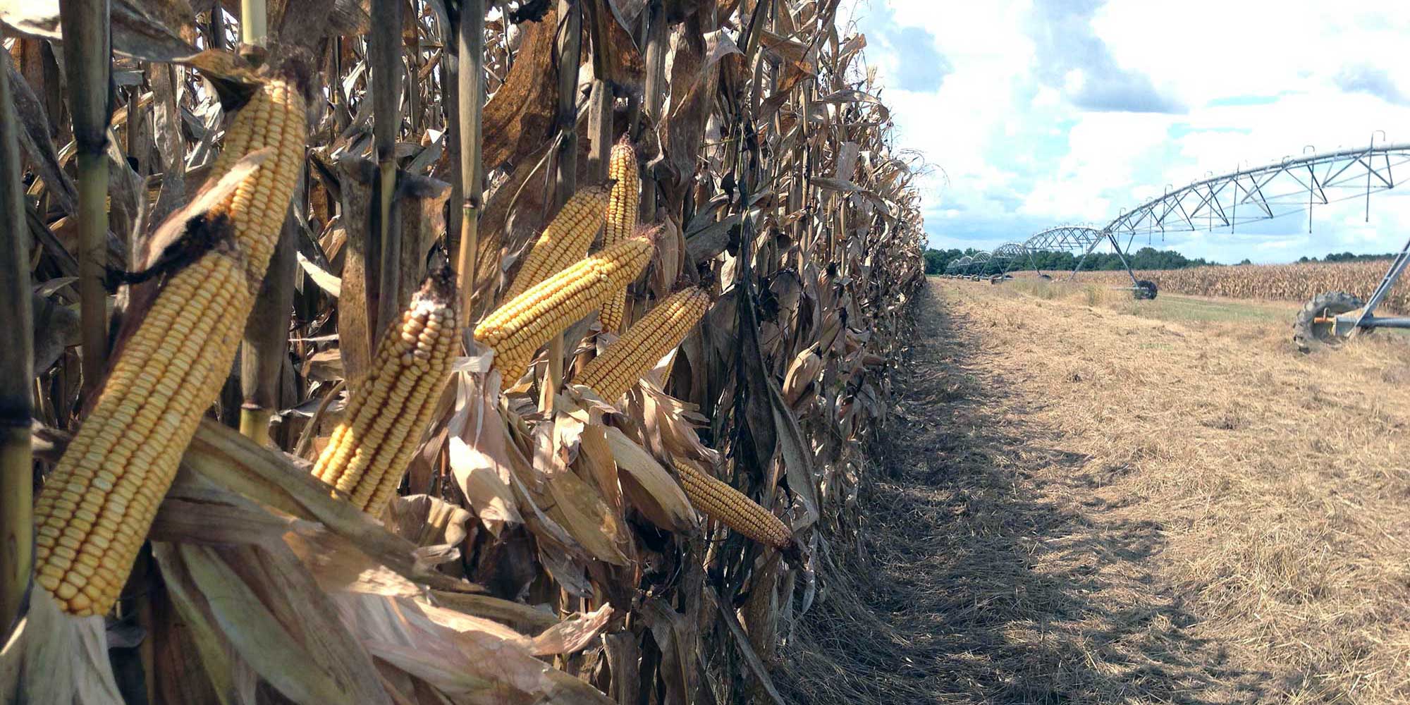 Autauga Farming Company