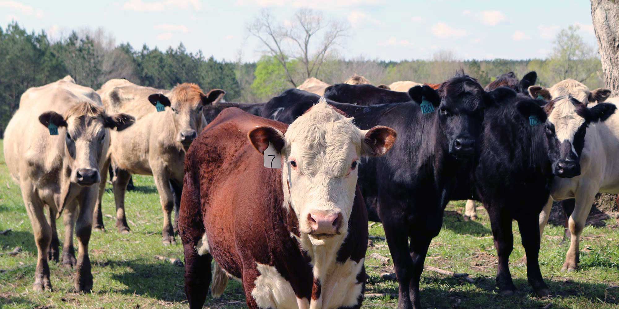 Autauga Farming Company